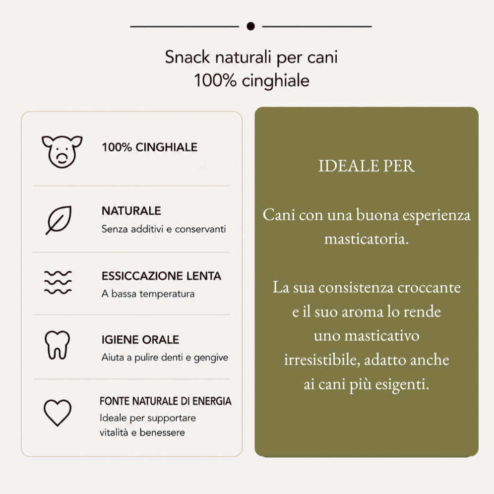 Orecchie Cinghiale senza pelo