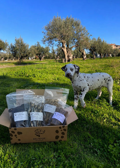 Box Cuccioli & Senior