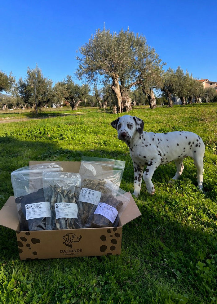 Box Cuccioli & Senior