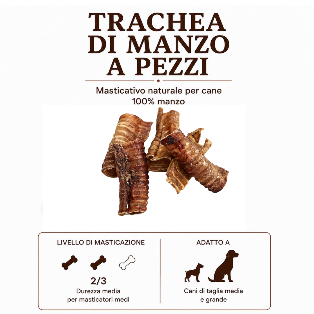 Trachea a pezzi