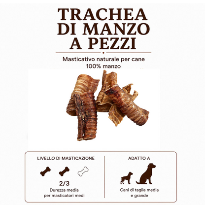 Trachea a pezzi