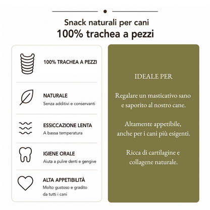Trachea a pezzi