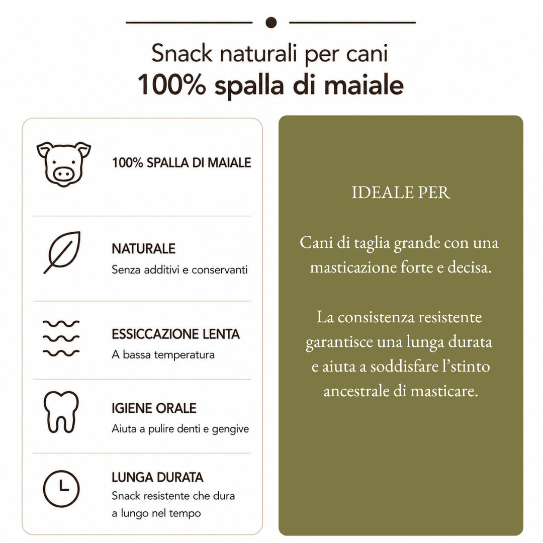 Spalla Maiale