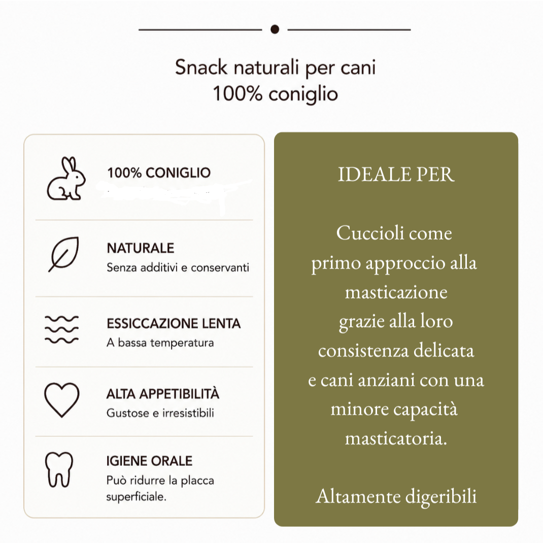 Orecchie Coniglio senza pelo