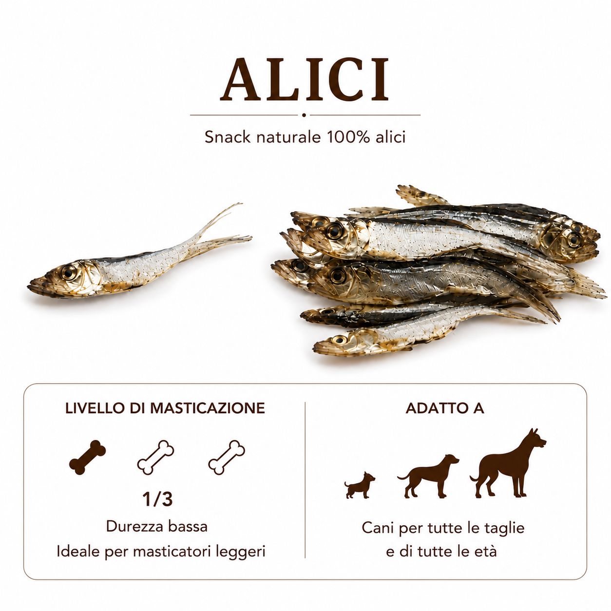 Alici essiccate