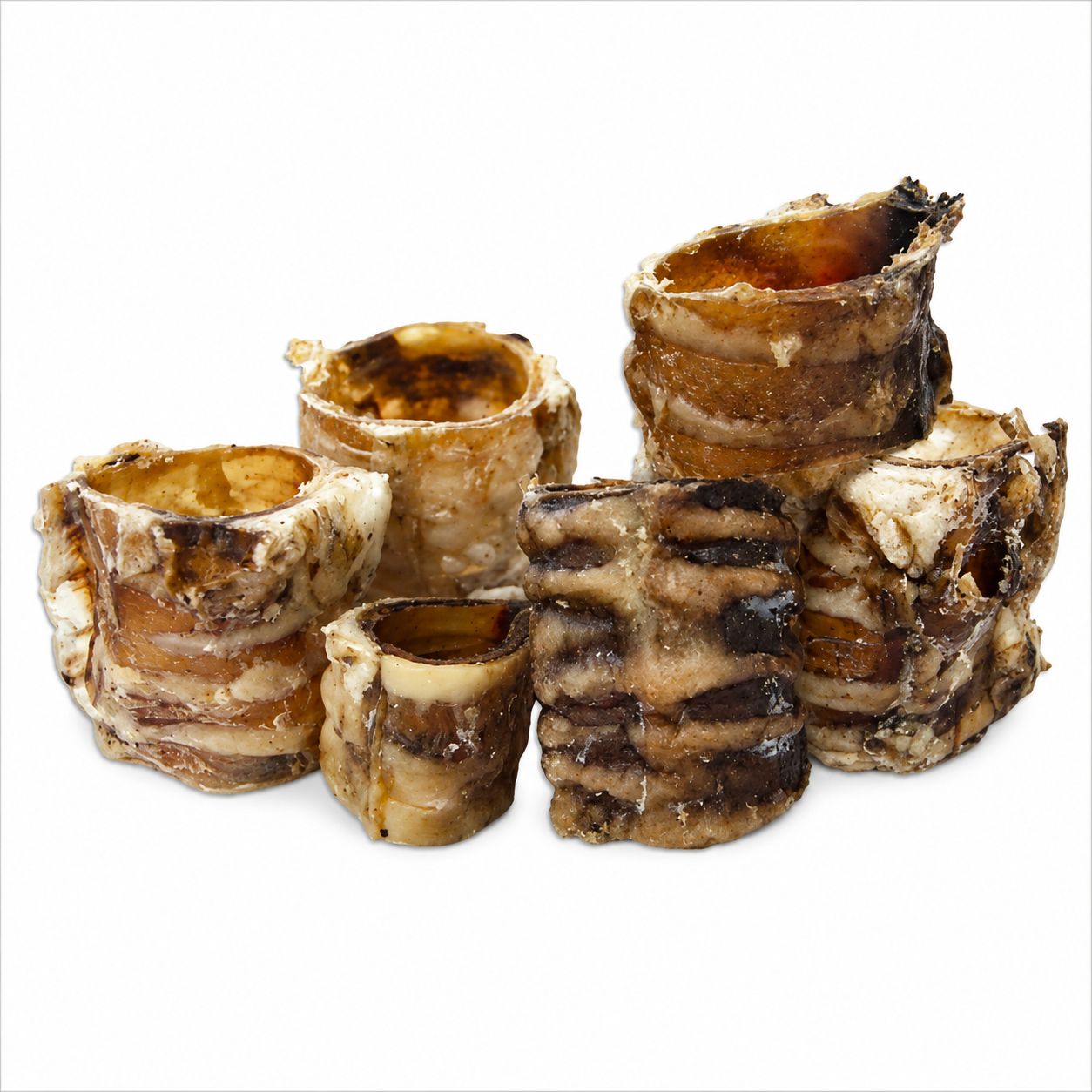 Trachea a pezzi