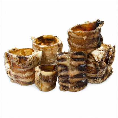 Trachea a pezzi