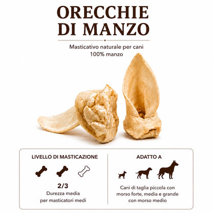 Orecchie Bovino