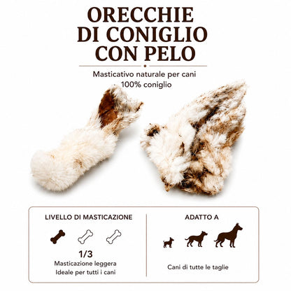 Orecchie di Coniglio con pelo