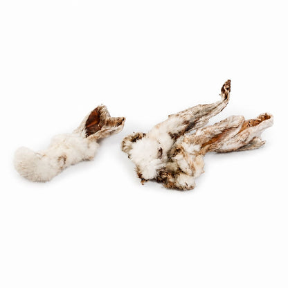 Orecchie di Coniglio con pelo