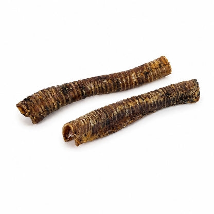 Trachea Lunga